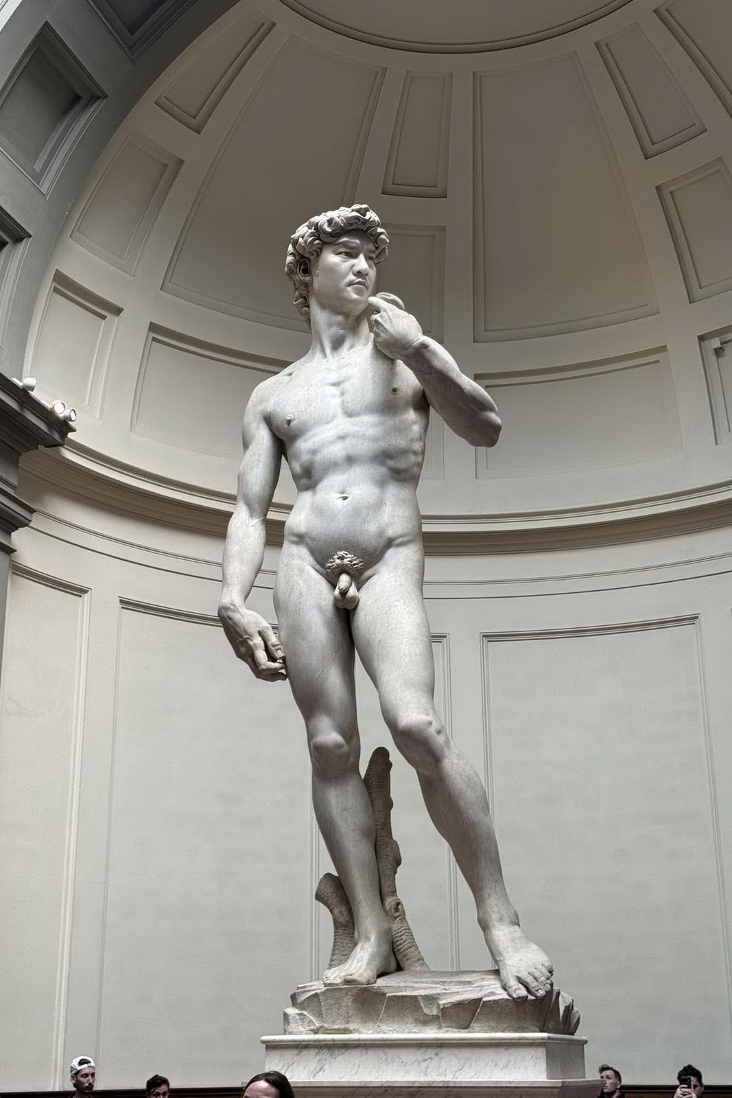 Phạm Hoàng Anh - CEO AI Software Development